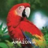 Life Of The Amazonia – Bundle 3